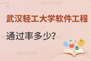 武漢輕工大學(xué)軟件工程在職研究生通過率多少？面試時(shí)企業(yè)認(rèn)可嗎？