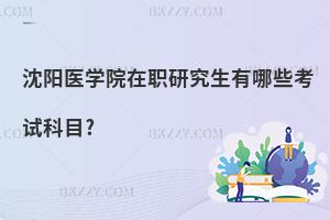 沈陽醫學院在職研究生有哪些考試科目?