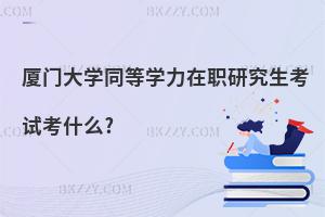 廈門大學(xué)同等學(xué)力在職研究生考試考什么?