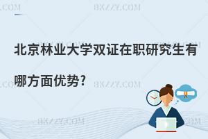 北京林業大學雙證在職研究生有哪方面優勢?