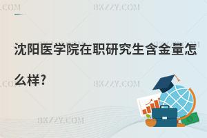 沈陽醫(yī)學(xué)院在職研究生含金量怎么樣?